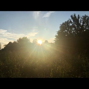 Meet your Posher, Clara